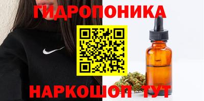 соль ск Кулебаки