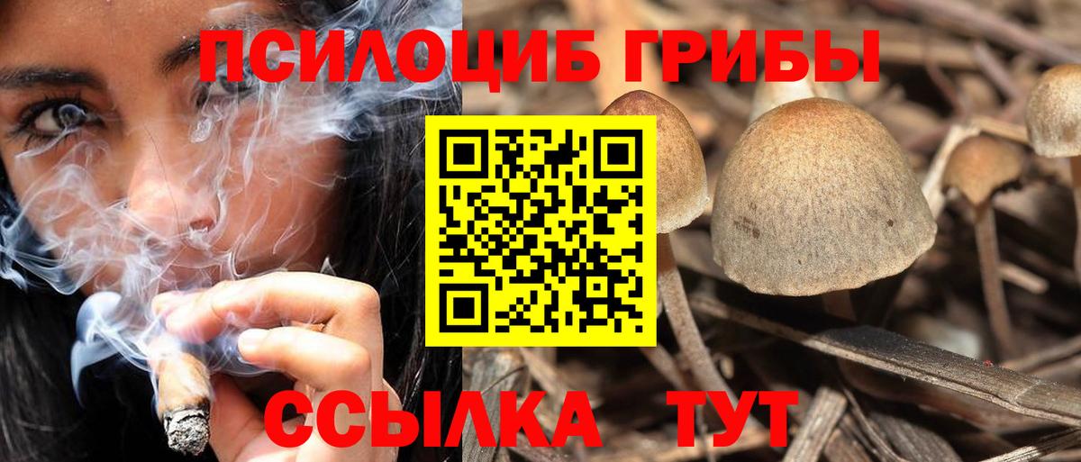 Галлюциногенные грибы мицелий Кольчугино