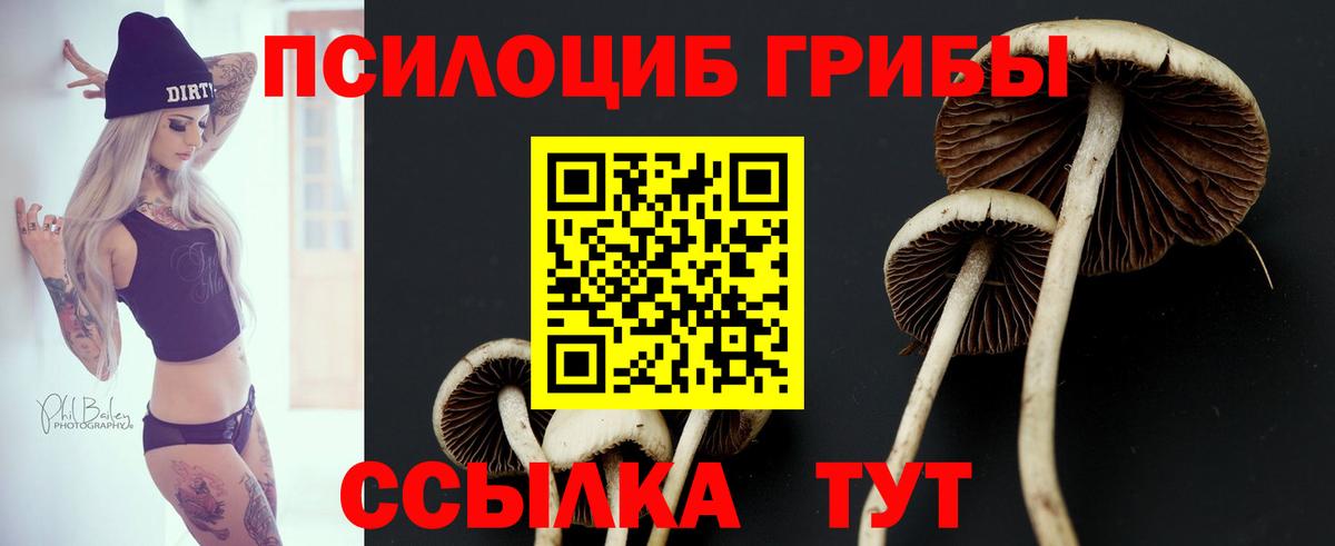 Кольчугино  Галлюциногенные грибы GOLDEN TEACHER  Вход с VPN 